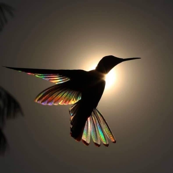 Meet your Posher, Jans - Picture 2 of 8